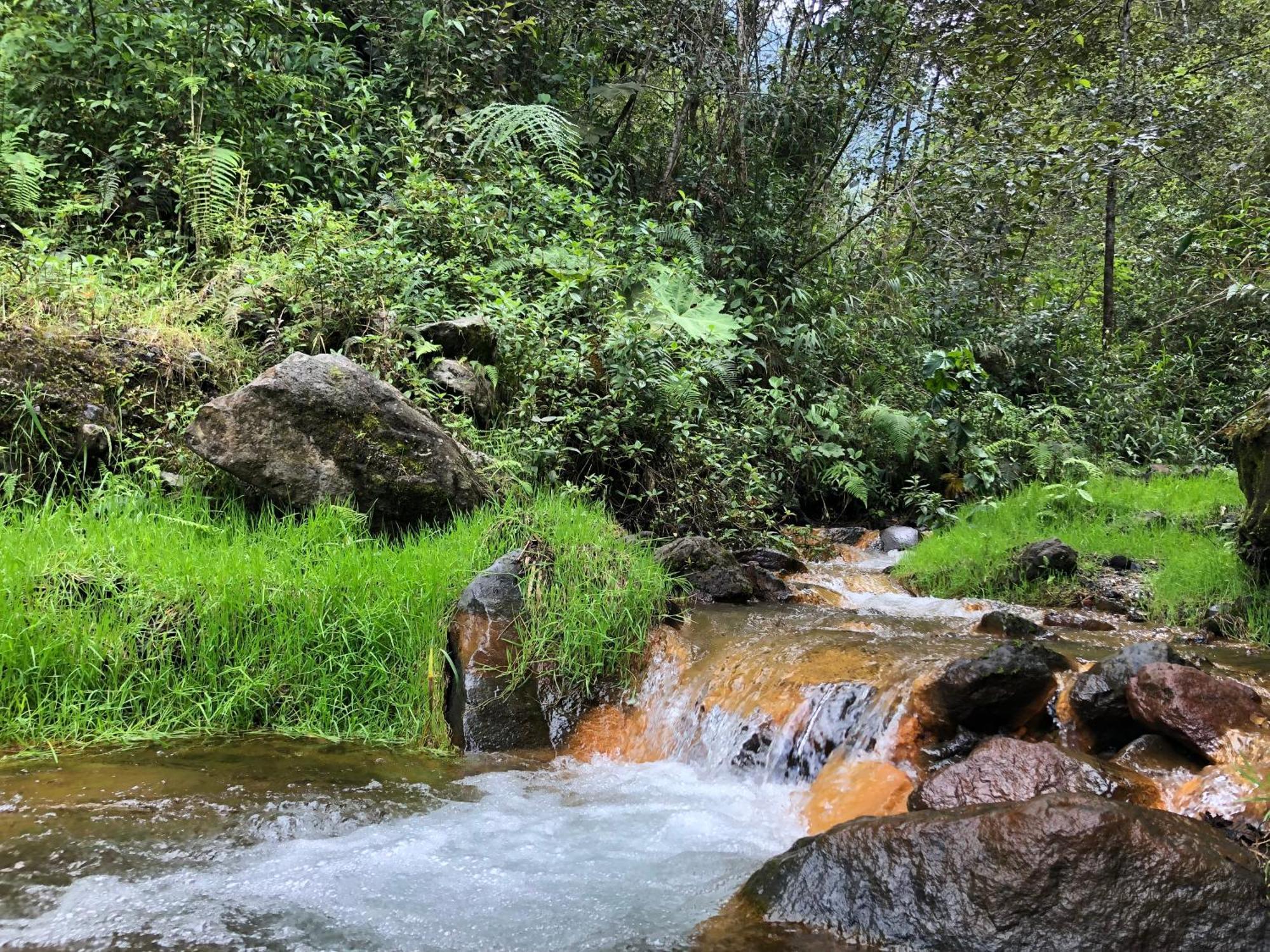 High-End Holiday Cabin - Tungurahua Hot Springs Banos  Ngoại thất bức ảnh